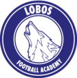Akademia Piłkarska Lobos